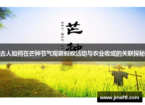 古人如何在芒种节气观察蚂蚁活动与农业收成的关联探秘